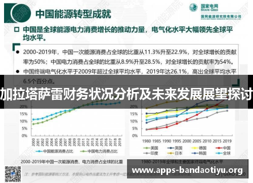 加拉塔萨雷财务状况分析及未来发展展望探讨