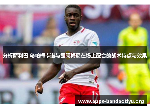 分析萨利巴 乌帕梅卡诺与楚阿梅尼在场上配合的战术特点与效果