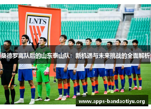 桑德罗离队后的山东泰山队：新机遇与未来挑战的全面解析