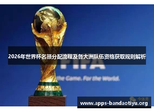 2026年世界杯名额分配流程及各大洲队伍资格获取规则解析