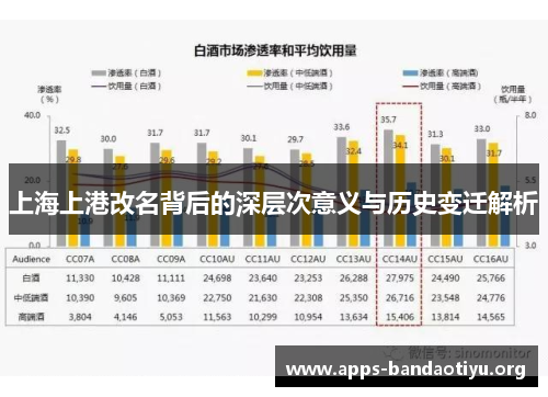 上海上港改名背后的深层次意义与历史变迁解析