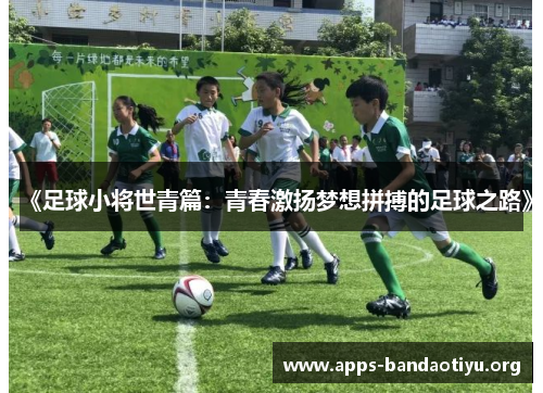 《足球小将世青篇：青春激扬梦想拼搏的足球之路》