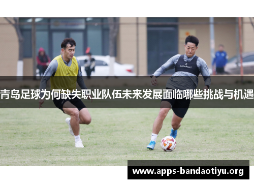 青岛足球为何缺失职业队伍未来发展面临哪些挑战与机遇