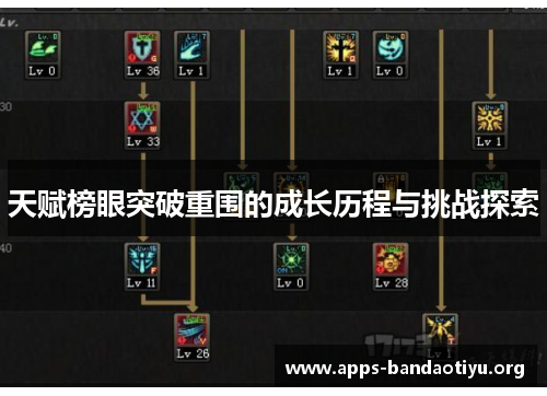 天赋榜眼突破重围的成长历程与挑战探索